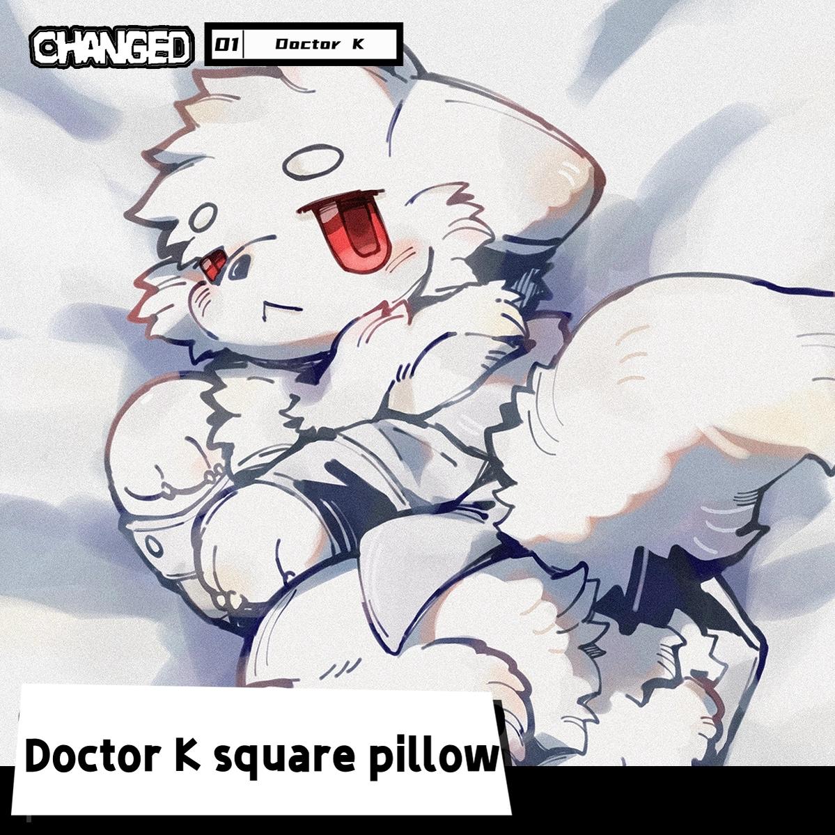 Changed Doctor K Pillowcase And Pillow Core 37812:729724