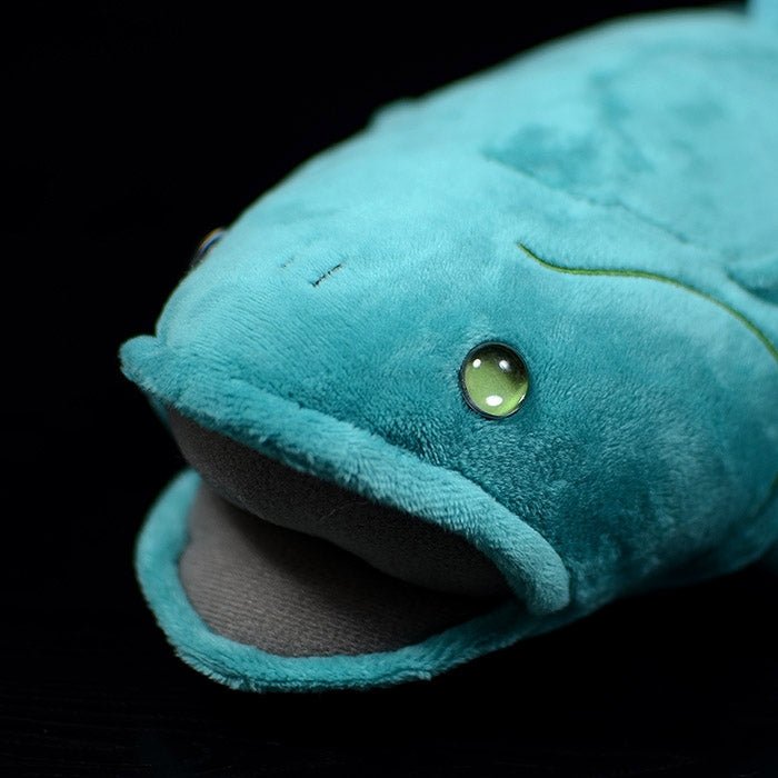 Realistic Coelacanth Fish Soft Stuffed Plush Toy - TOY-PLU-48501 - Soft time TOY - 42shops 3156:27873