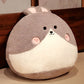 Chubby Cat Fox Bunny Plush Toys Cushions - TOY-PLU-56709 - Yangzhou kaka - 42shops