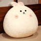 Chubby Cat Fox Bunny Plush Toys Cushions - TOY-PLU-56707 - Yangzhou kaka - 42shops