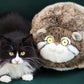 Chubby Pallas Cat Plush Toy - TOY-ACC-17601 - Bowuwenchang - 42shops
