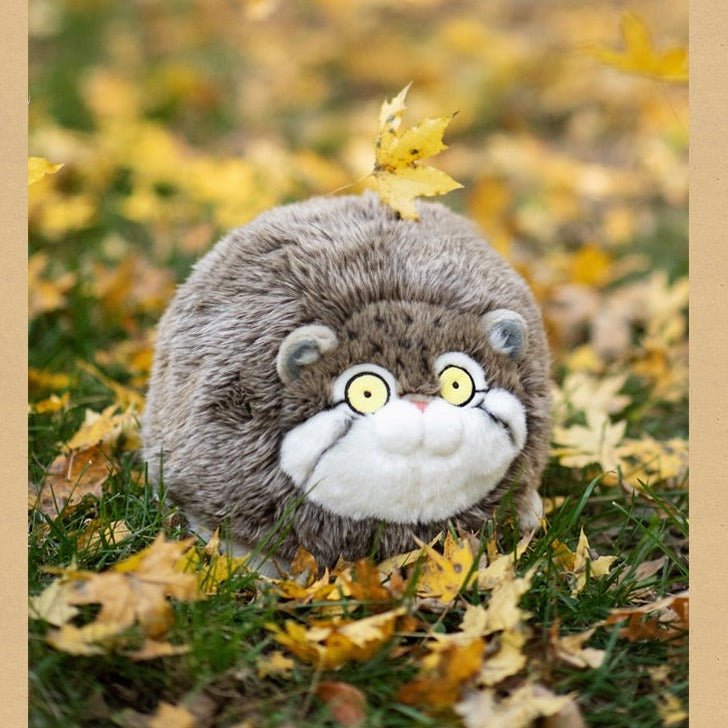 Chubby Pallas Cat Plush Toy - TOY-ACC-17601 - Bowuwenchang - 42shops