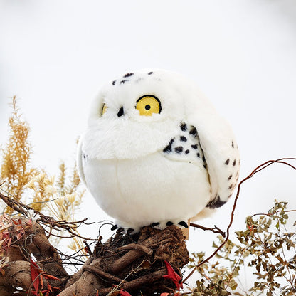 Chubby White Owl Plush Toy Stufffed Animal - TOY-PLU-17401 - Bowuwenchang - 42shops