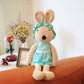Cute Dressing White Brown Bunny Plush Toy - TOY-PLU-89121 - Yangzhoujijia - 42shops
