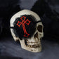 Dark Gothic Halloween Skeleton Eye Mask Lace Edge Manga - TOY-ACC-58703 - Strange Sugar - 42shops