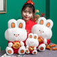 Fluffy White Bunny Plush Toys - TOY-PLU-22901 - Yangzhou yile - 42shops