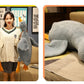 Fluffy White Gray Brown Duck Plushies - TOY-PLU-67011 - Yangzhoumengzhe - 42shops