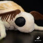 Insect Series Moth Plush Toys Animal Doll 20054:419257