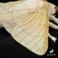 Insect Series Moth Plush Toys Animal Doll 20054:419251
