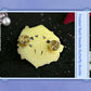 Little Mushroom An Zhe Lu Feng Metal Badge 33708:455259