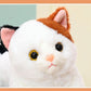 Realistic Cat Plush Toys Stuffed Animal - TOY-PLU-32803 - Yiwu xuqiang - 42shops