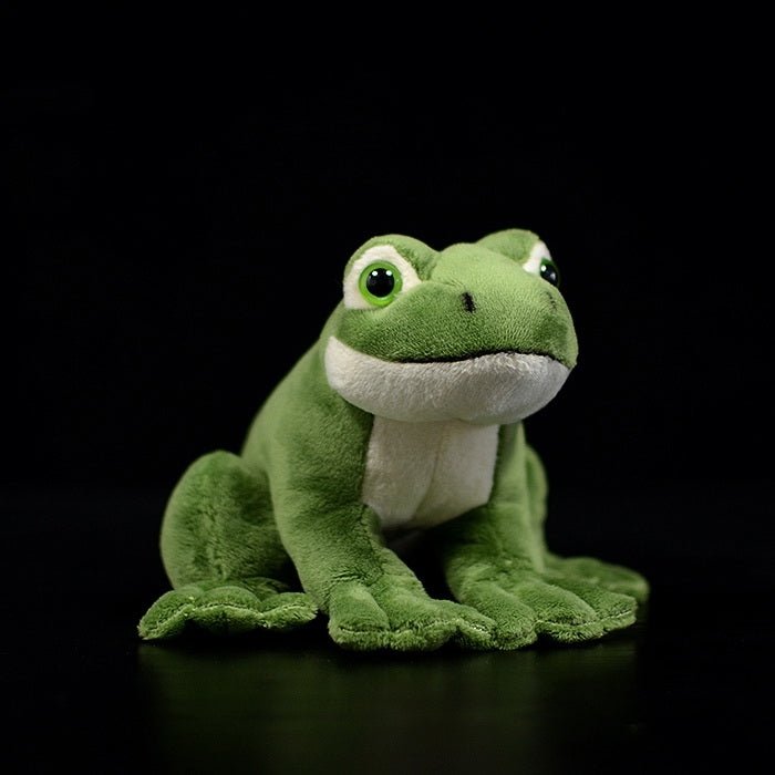 Realistic Green Frog Plush Toy – 42shops