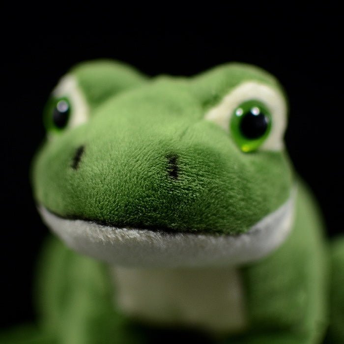 Realistic Green Frog Plush Toy – 42shops