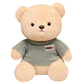 Sweaters Teddy Bears Stuffed Animals   