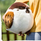 Tree Sparrow Stuffed Animal Bird Plush   