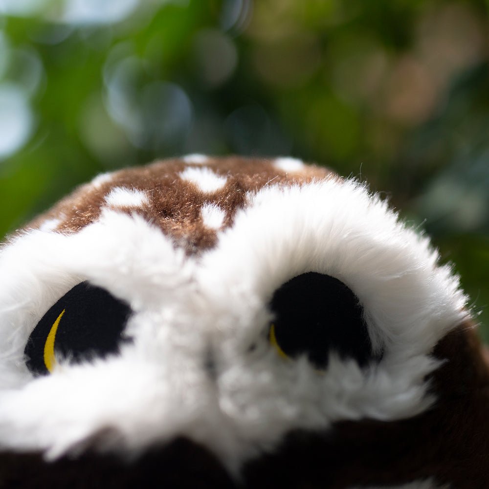 Wet Owl Stuffed Animal Saw-Whet Owl Plush Toy   