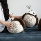 Wet Owl Stuffed Animal Saw-Whet Owl Plush Toy - TOY-PLU-5501 - Bowuwenchuang - 42shops