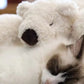 White Bear Pluy Toys Sleeping Pillow - TOY-PLU-12501 - Dongguan yuankang - 42shops